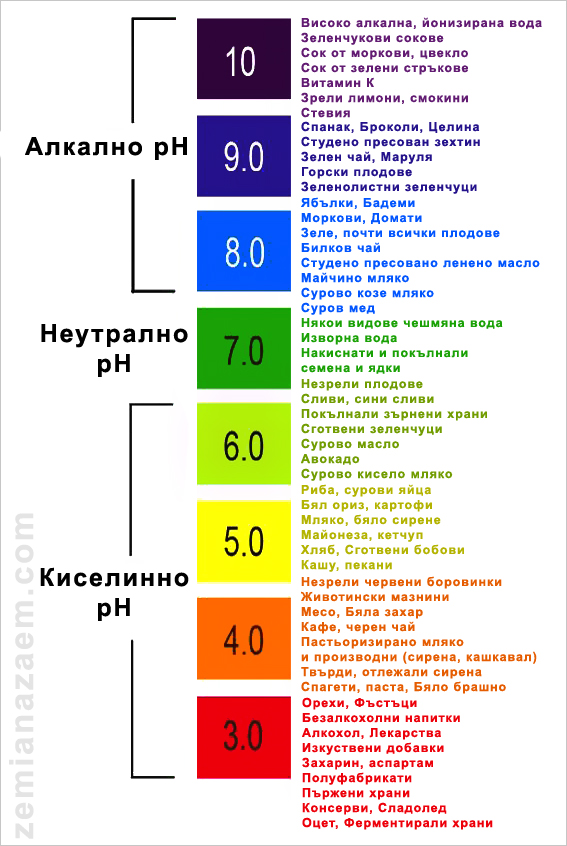 Алкално-киселинен баланс, таблица за рН на храните